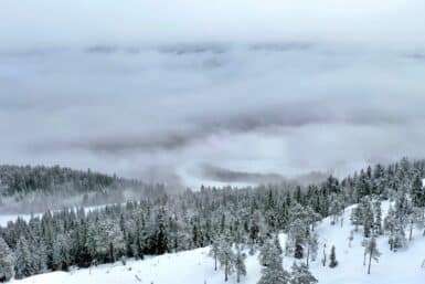 Branas Ski Resort Trees