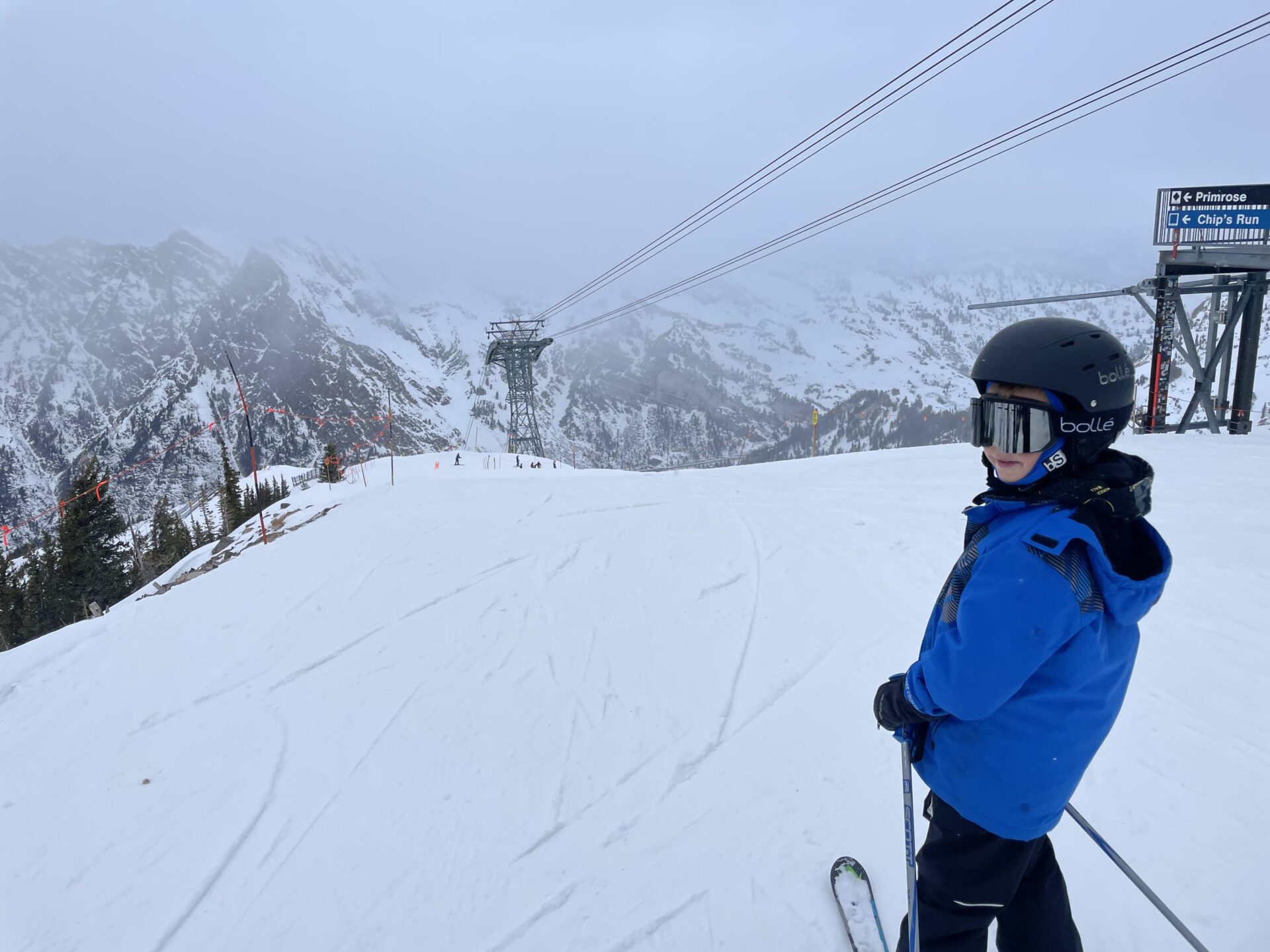 Snowbird Resort Skier