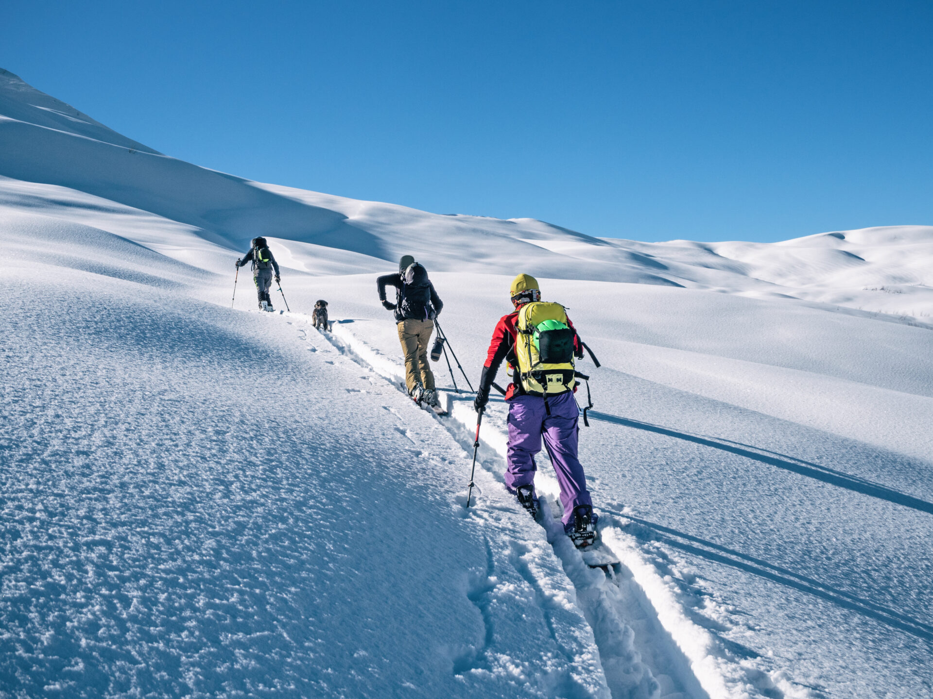 skiers going uphill