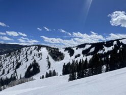 Aspen Mountain Ski Resort